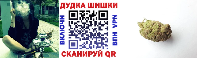 Бошки марихуана конопля  Купить где  Холмск 